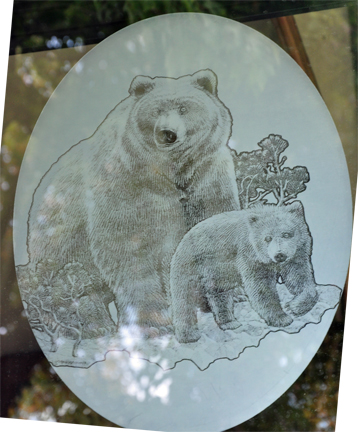 a bear etching 