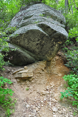 a big rock by the trail
