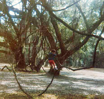 Brian playing in the trees