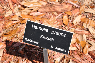 sign identifying flowers