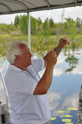 Lee Duquette examining swamp material