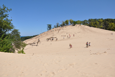 The rugged sand dune
