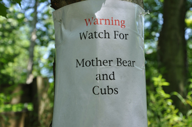 sign - watch for mother bear and cubs