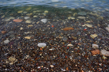 Crystal clear water in Lake Ontario at Fort Niagara State Park