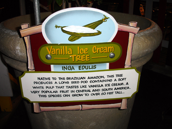 Vanilla Ice cream tree