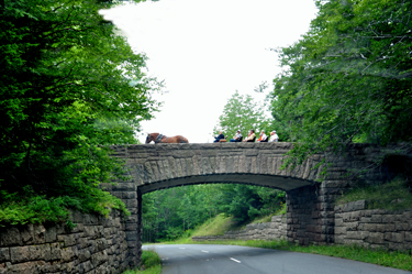 horse and buggy on stone bridge 