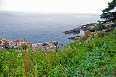 scenery at Acadia National Park