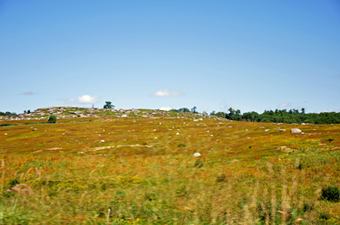 a field of rocks