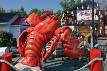 A giant lobster