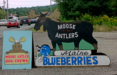 sign for selling blueberries and pies