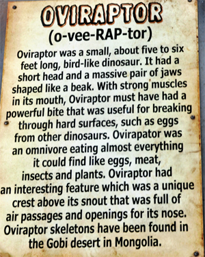 Oviraptor at Dinosaur World