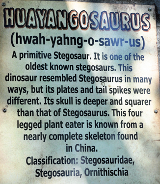 Huayangosaurus at Dinosaur World