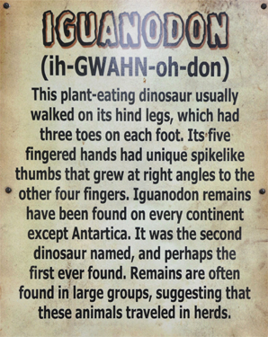 Iguanodon at Dinosaur World