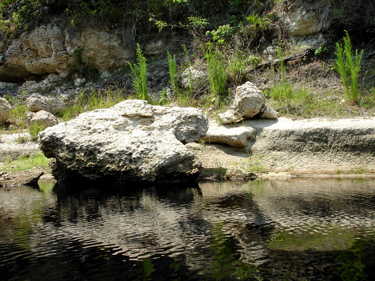 Big rocks on the shoreline of the Suwannee River