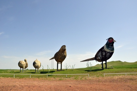 Pheasants on the Prairie  on Enchanted Highway