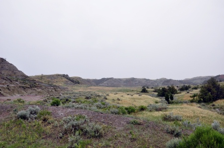scenery at Theodore Roosevelt National Park