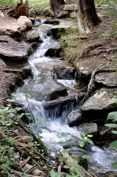 Three Springs Creek