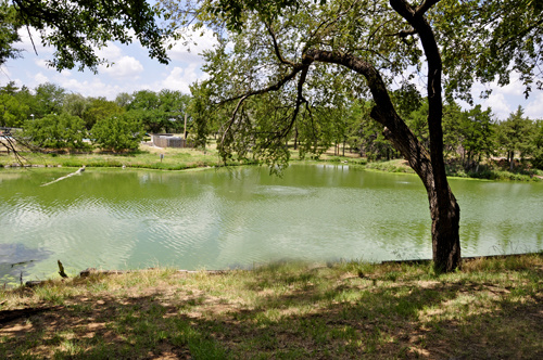 a pond with boiling springs