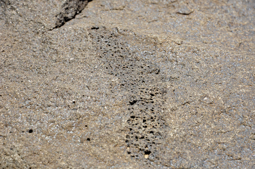 human footprint petroglyph