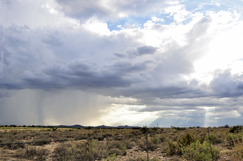 weather on Arizona Highway 186 in Willcox, Arizona