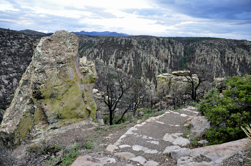view of sign: Chiricahua Mountains Wilderness