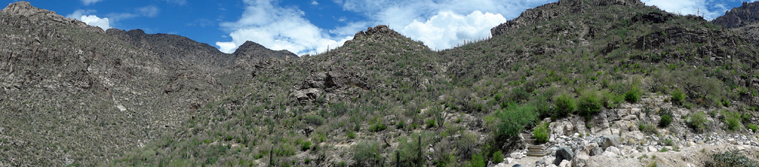 mountain peaks and cacti