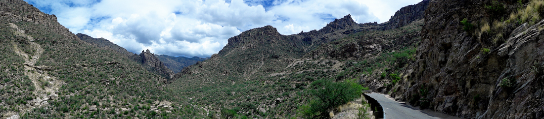 the road and mountains at Sabino Canyon