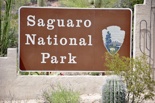 sign: Saguaro National Park