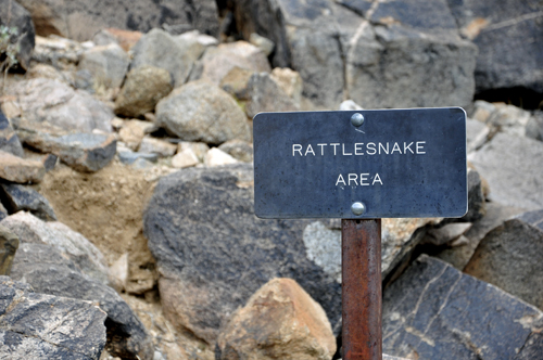 sign: Rattelsnake area