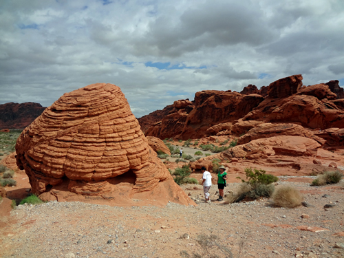 Beehives at Valley of Fire State Park