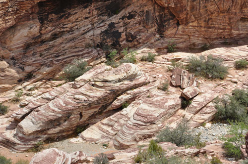 Red Rock Canyon National Conservation Area scenery