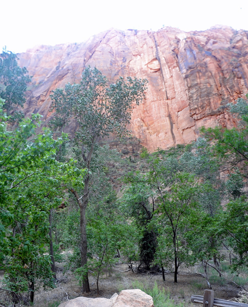 panorama of cliff at Zion National Park