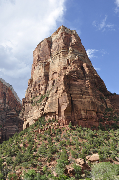 scenery at Zion National Park