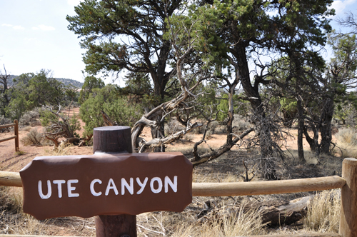 sign: Ute Canyon