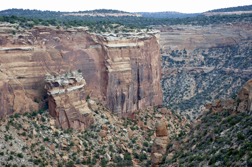 Fallen Rock in Colorado National Monument