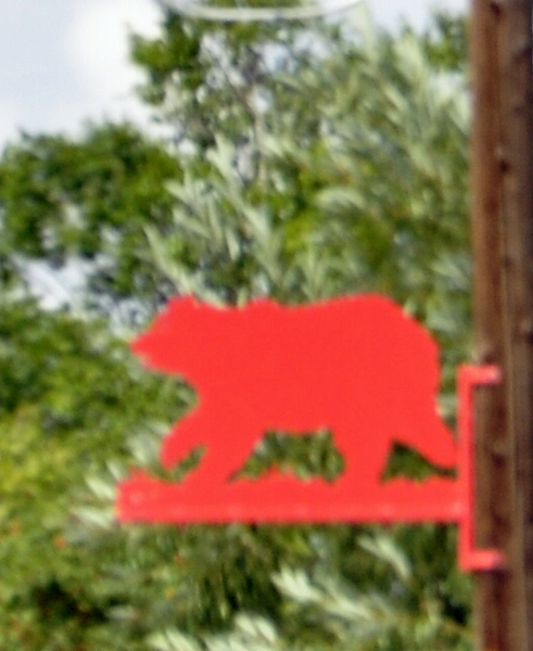 red bear on light pole in Colorado