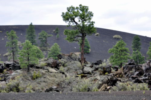 Sunset Crater's lava and cinders, rocks