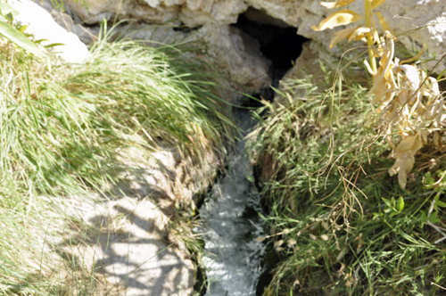 White Sulphur Spring trickles out of the travertine and into the Big Horn River.