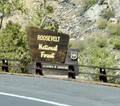 sign: Roosevelt National  Forest
