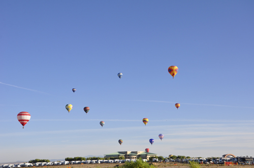 lots of balloons at the Albuquerque hot air balloon fiesta
