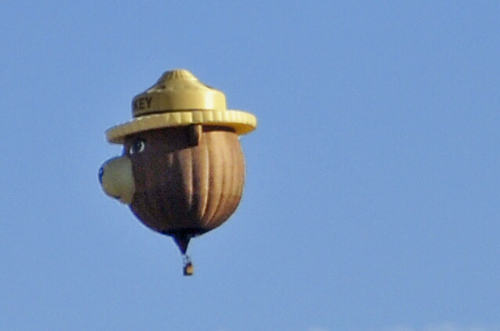 Smokey the Bear hot air balloon