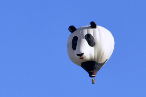 Party Panda hot air balloon