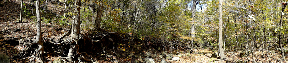 panorama of the dry creek bed