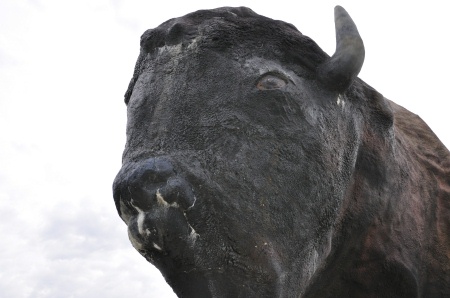 the head of the World's Largest Buffalo statue