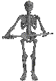 skeleton guard