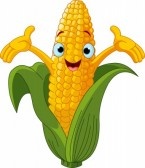 corn dude