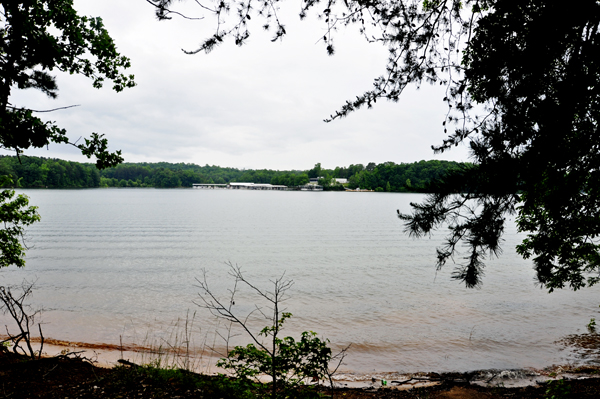view from Lake Hartwell State Sign
