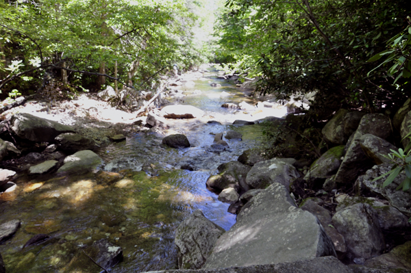 View of Shinny Creek from along the High Shoals Falls Trail