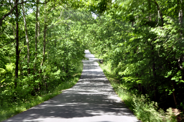 The narrow road leading to Anglin Falls in Berea, Kentucky