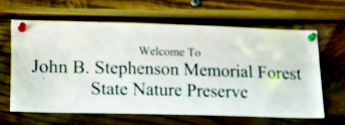 sign: John B. Stephenson Memorial Forest